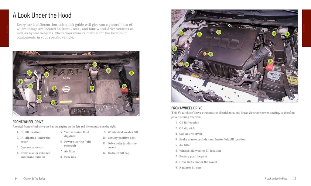 Auto Repair & Maintenance for Beginners