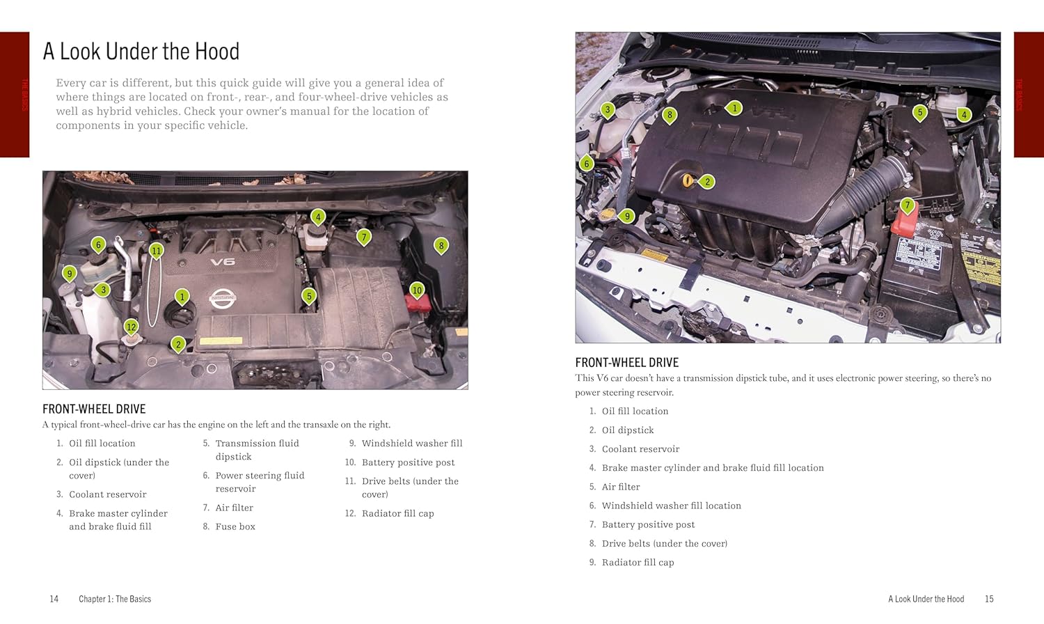 Auto Repair & Maintenance for Beginners